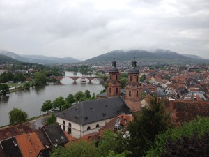 Blick von der MILDENBURG auf den Main