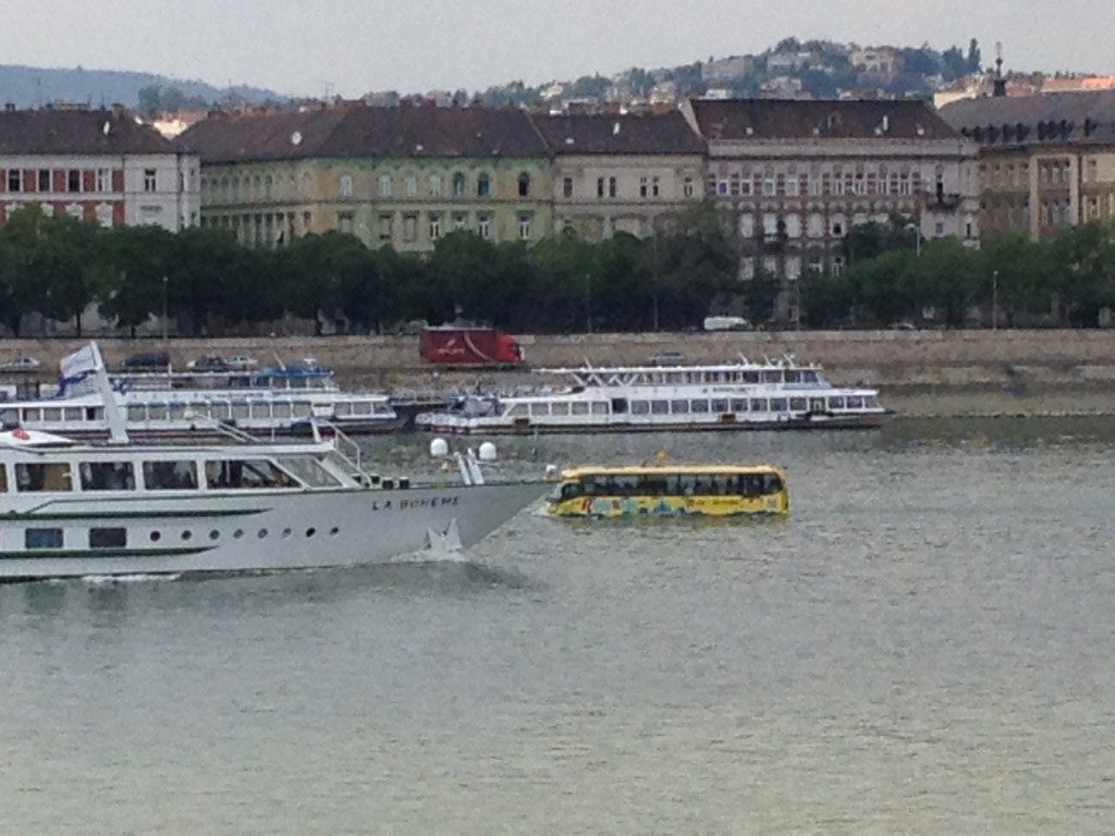 Mit dem Bus durch die Stadt und in die Donau