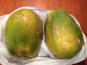 Papaya