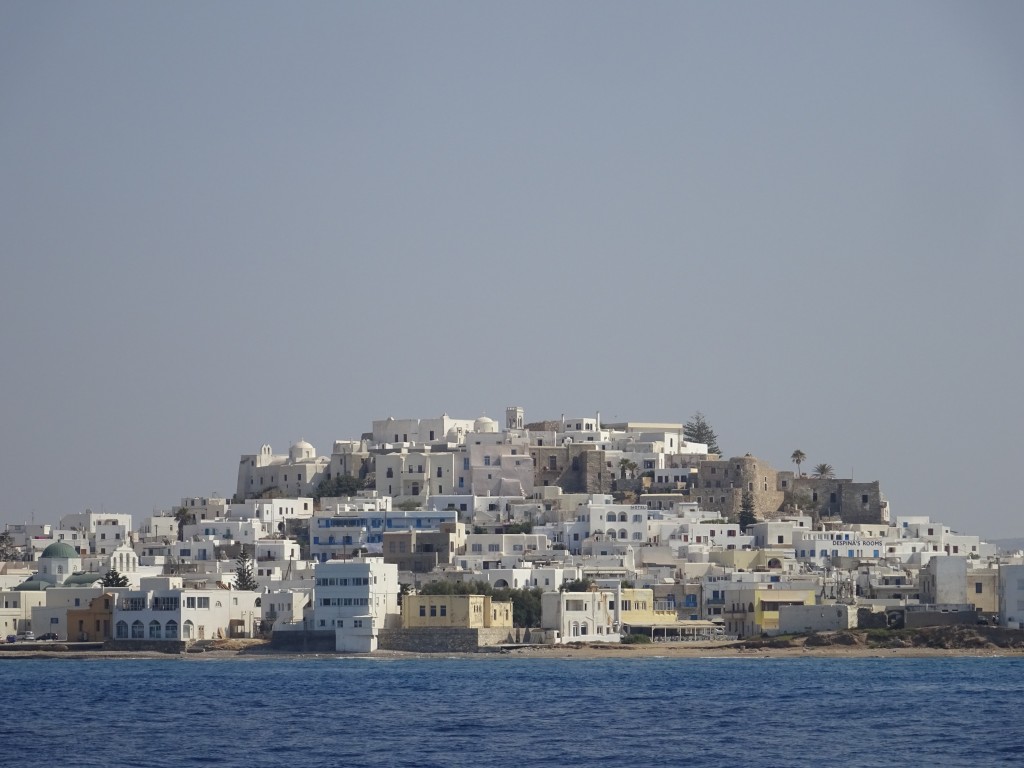 DSC05061