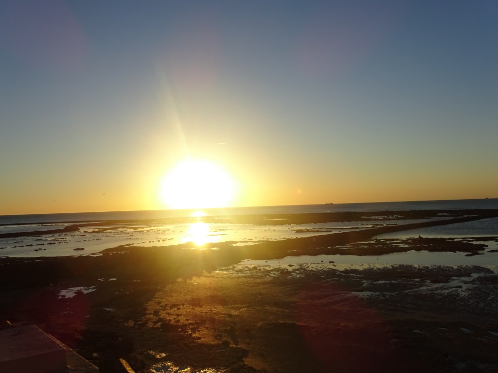 DSC00525
